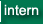 intern